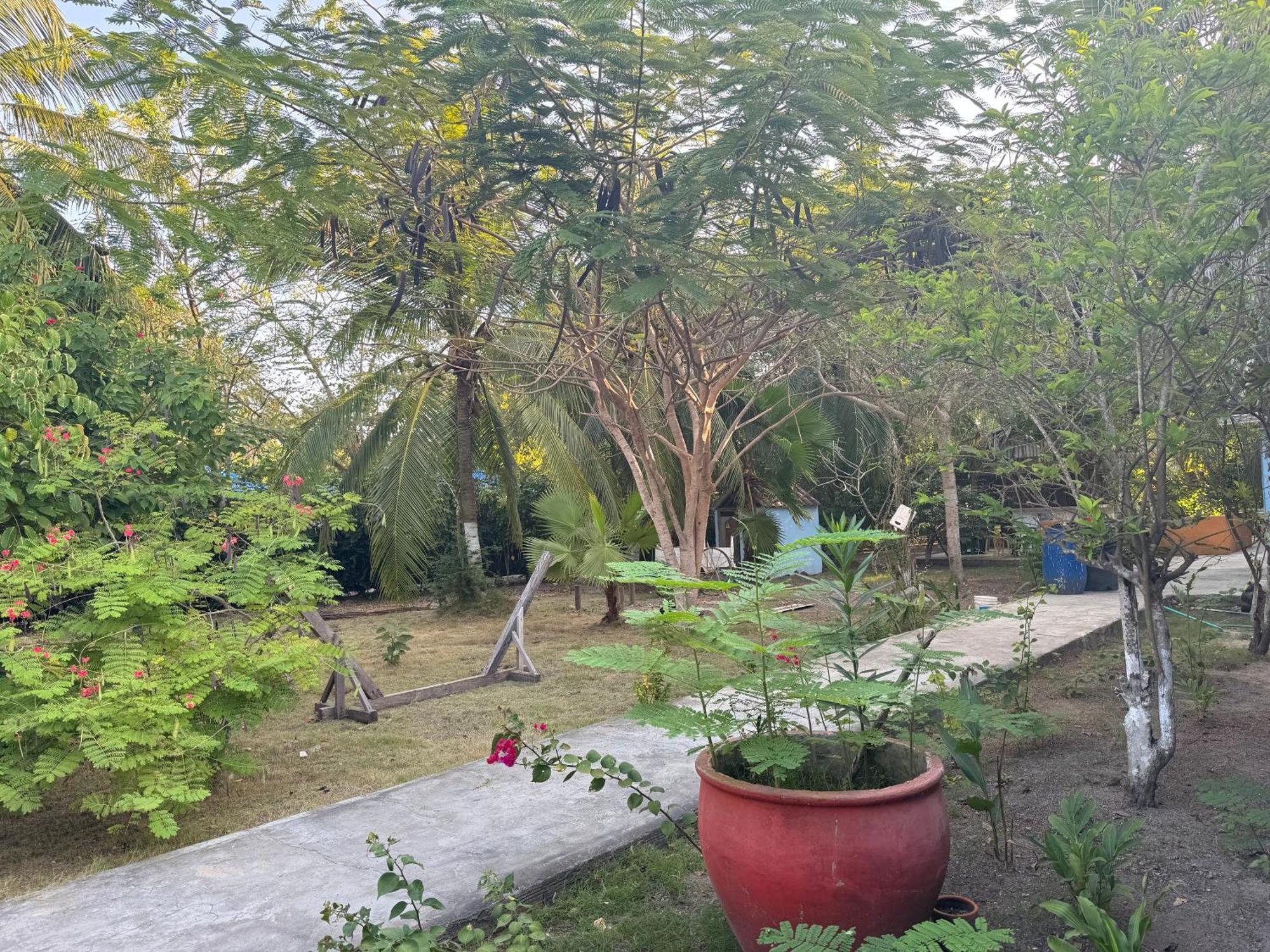 Casa Lolas House By Ctglifetravelers Isla Grande  Exterior foto